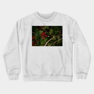 rlb rooster tails Crewneck Sweatshirt